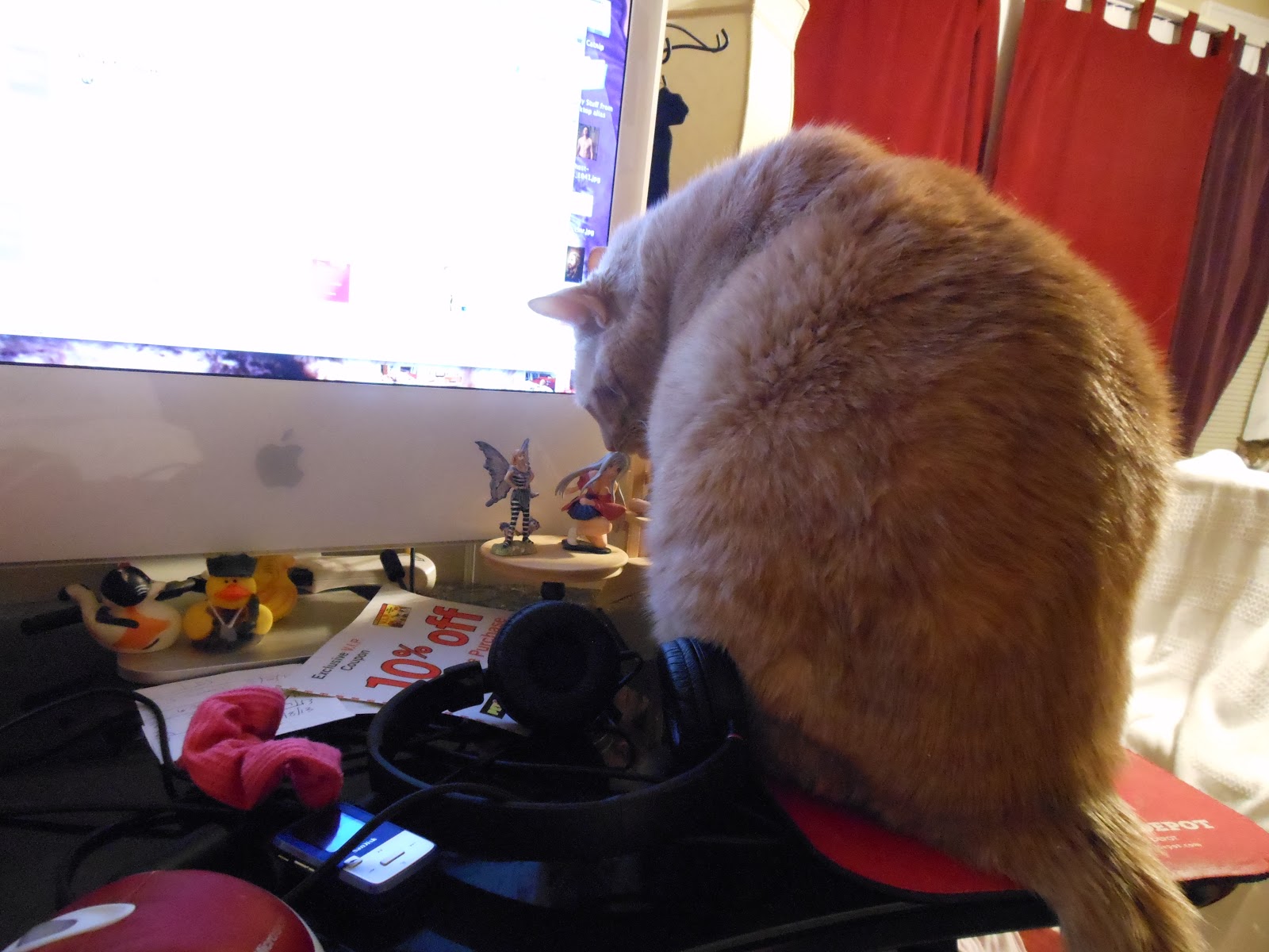 the-whiskeratti-surprise-inspection