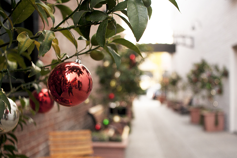 christmas, holiday decorations, lumière & lens
