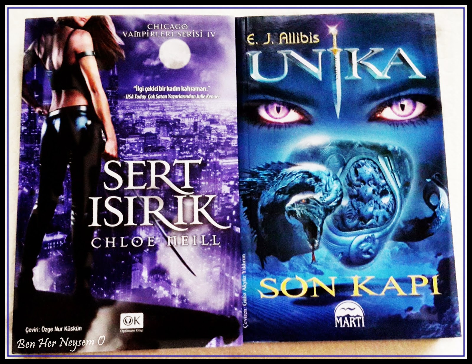 ...Kütüphanemden Kitap Manzaraları...: 2015 - 20. İzmir Kitap Fuarı