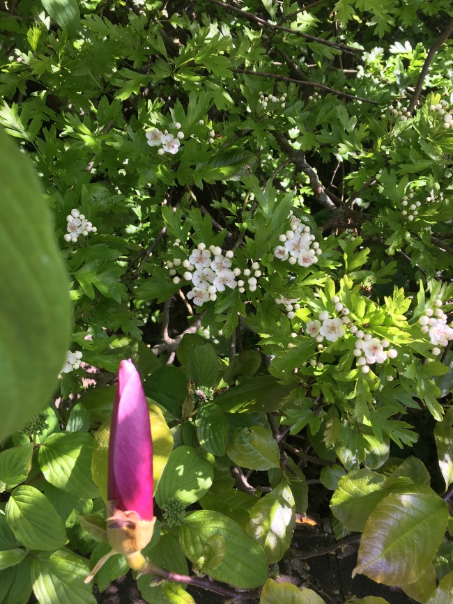 My Shopping Trip to Lidl Teddy Bears And Cardigans