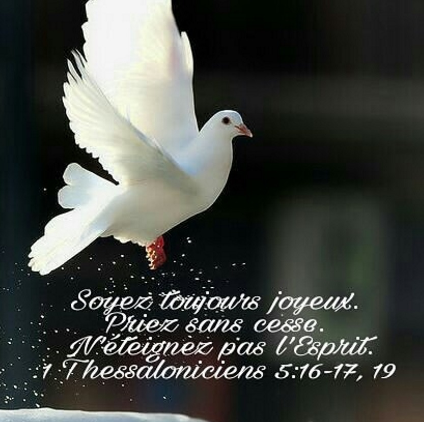 Jean le Messager d'Espérance L'Esprit Saint entre dans la vie de tout