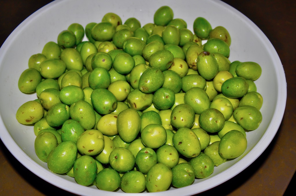 Mister Meatball Mom's cured green olives