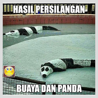meme lucu buaya dan panda meme lucu buaya dan panda