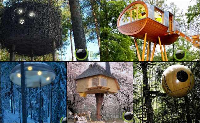   10 Rumah Pohon Terunik di Dunia