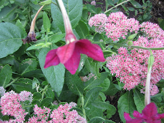 Endometriosis: After Surgery? What Next