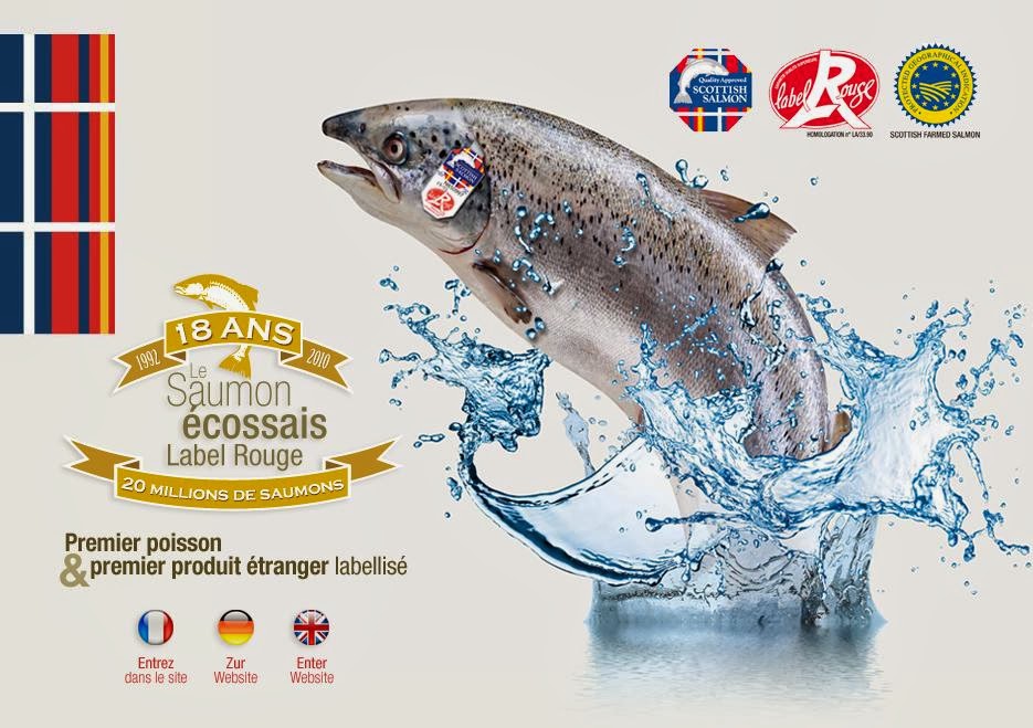Conserves de poissons] Une filière française en danger - ANIA