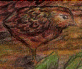 Detil anak ayam Gambar Detil anak ayam sebagai Cara Sketsa Flora dan Fauna Dengan Mudah