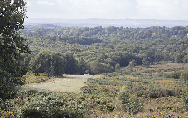 The Airman's Grave, downhill from The Hollies car park. Ashdown Forest, 31 August 2017. The Airman's Grave, downhill from The Hollies car park. Ashdown Forest, 31 August 2017.