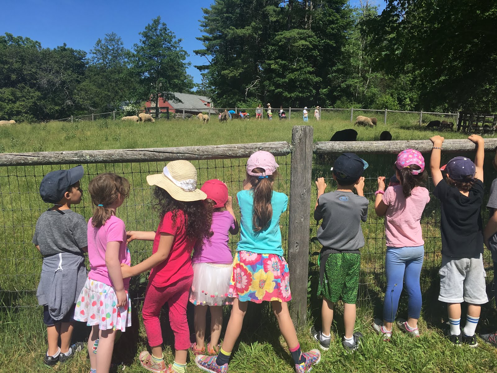 The Adventures of Lauren & Jerald Kindergarten Field Trip!