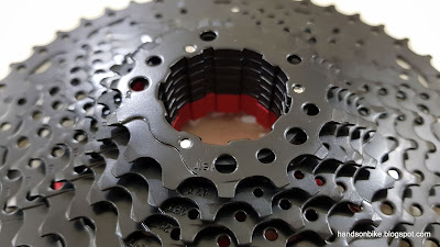 spline standard