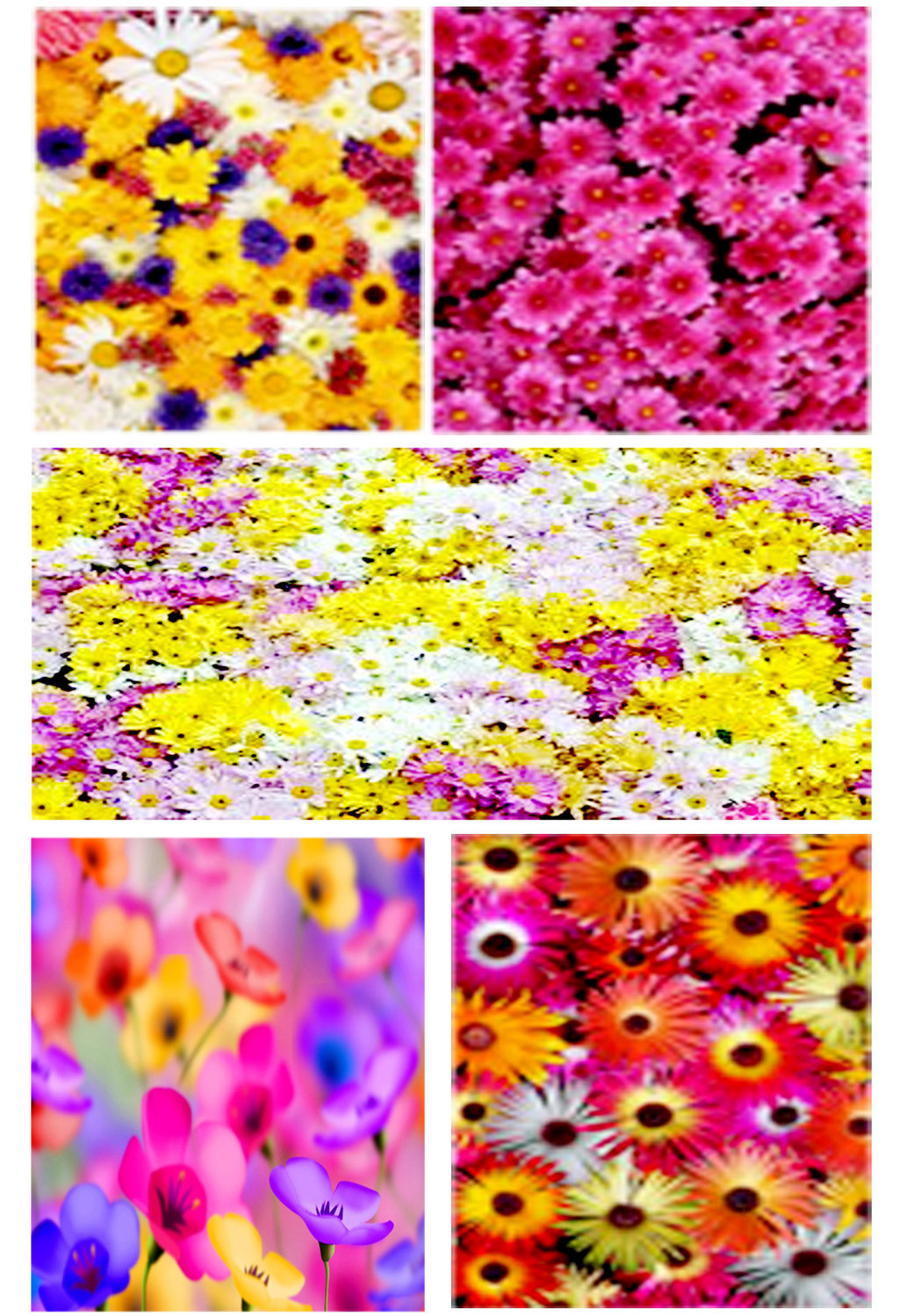 Membuat bingkai foto bermotif bunga  dengan photoshop 
