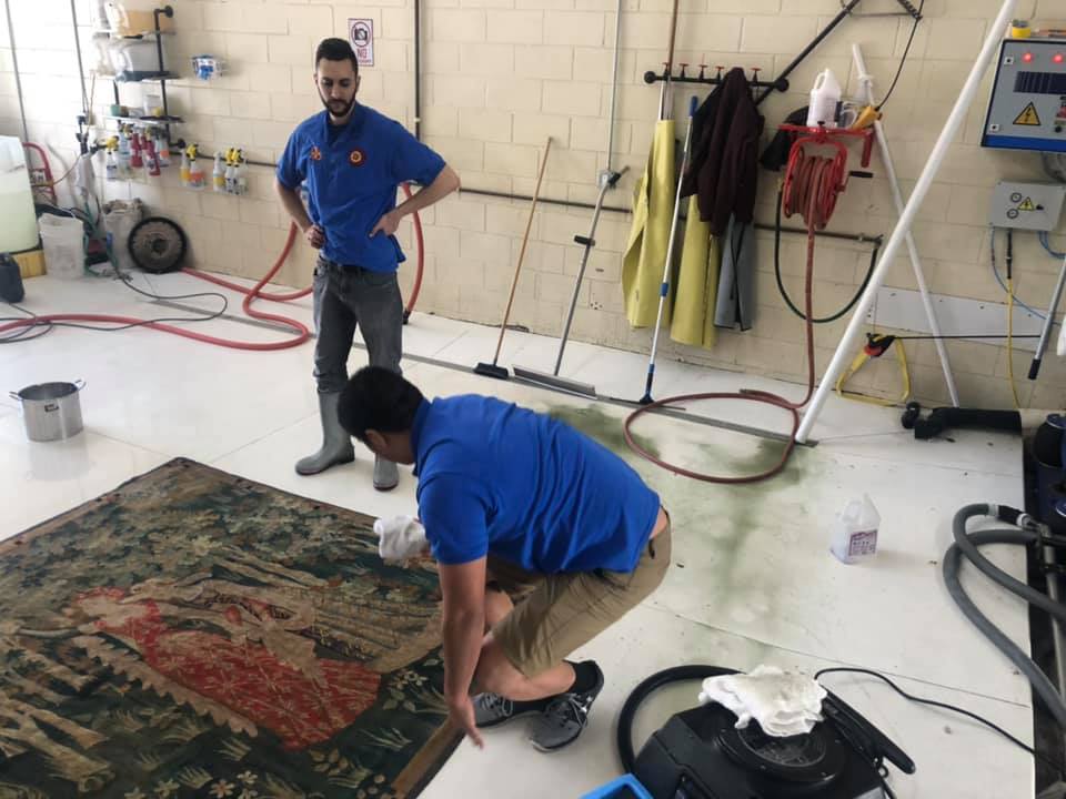 Rug Master French Tapestry Professional Cleaning in Los Angeles