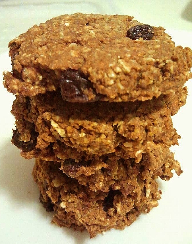 Fit Foodie Bites Fiber Oat Carrot Cookies
