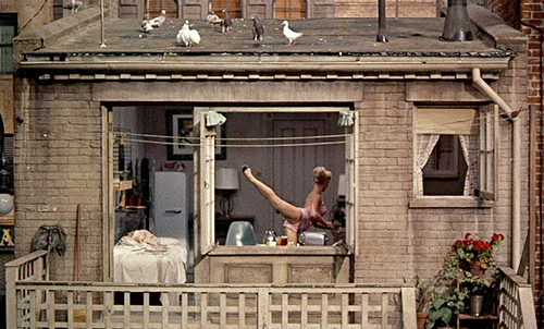 1001: A FILM ODYSSEY: REAR WINDOW (1954)