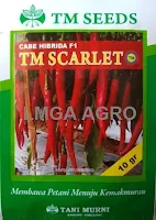 Benih Cabe Besar,Cabe F1 TM Scarlet,bibit cabe hibrida unggulan,Tani Murni,LMGA AGRO