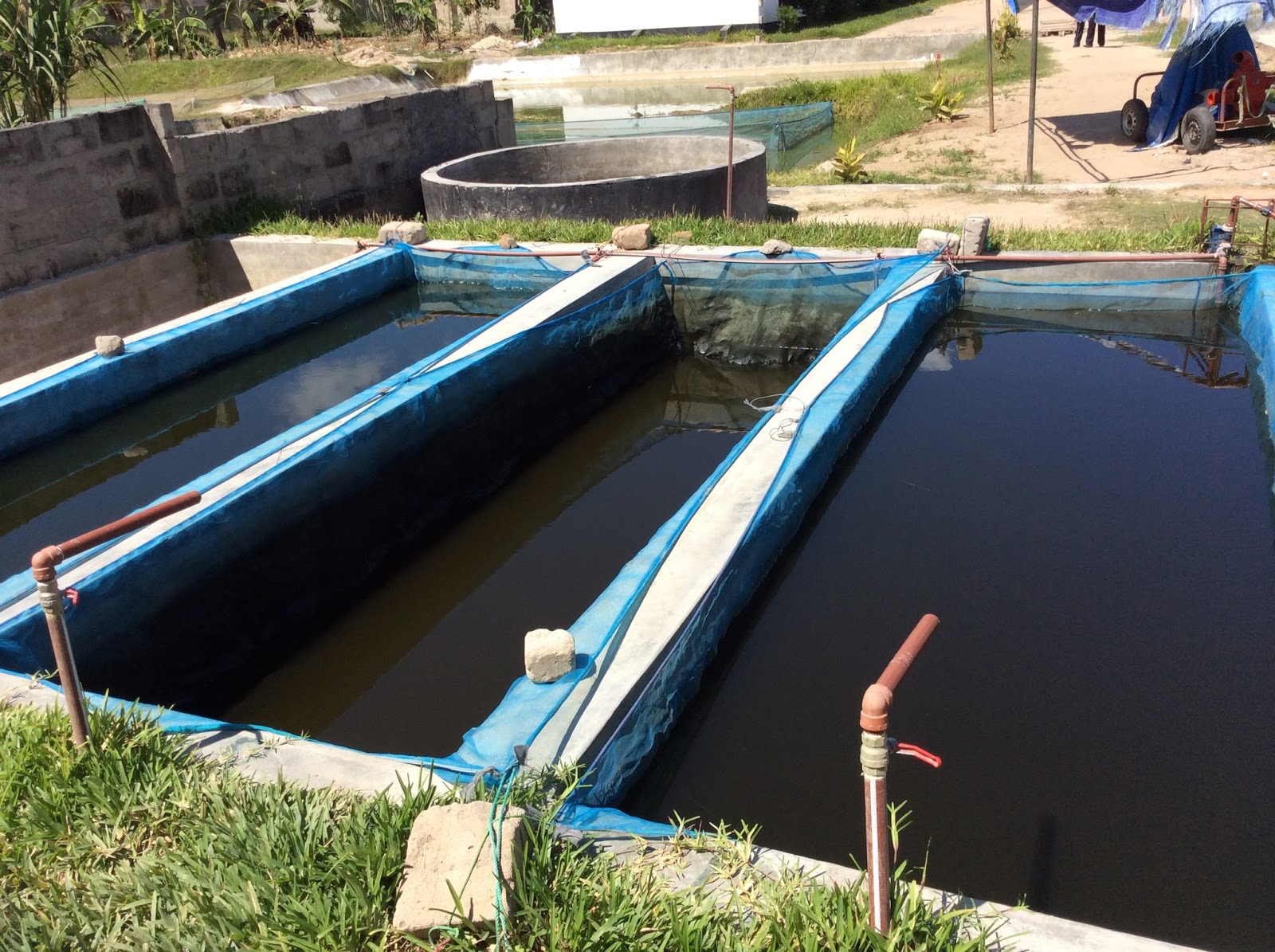 Mmanda Aqua Farming blog Eden AgriAqua Farming Centre, Tanzania