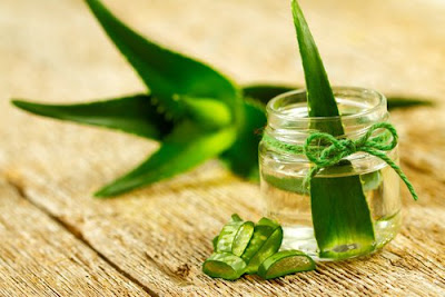 Tonique à l'aloe vera, l'oignon et l'huile de géranium pour stimuler la croissance des cheveux Tonique à l'aloe vera, l'oignon et l'huile de géranium pour stimuler la croissance des cheveux
