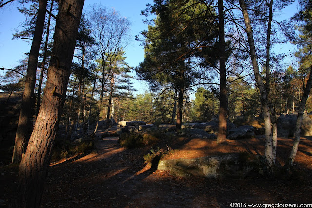 Lumières d'hivers à la Roche aux Sabots dans les Trois Pignons, (C) 2016 Greg Clouzeau Lumières d'hivers à la Roche aux Sabots dans les Trois Pignons, (C) 2016 Greg Clouzeau