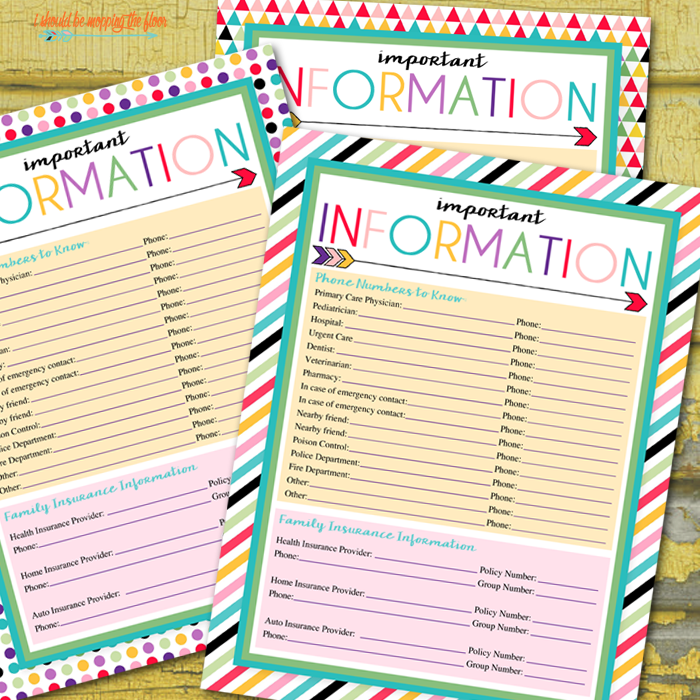 Free Printable Important Information Log | A series of over 30 free organizational printables from ishouldbemoppingthefloor.com | Three Designs & Instant Downloads