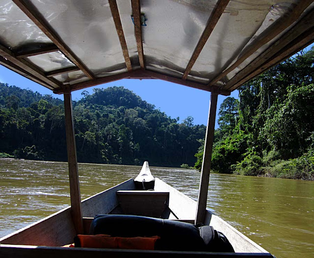 tourist boat canoe in the river Tahan in Malaysia National Park