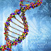 Human genes and their usefulness in the treatment of genetic diseases