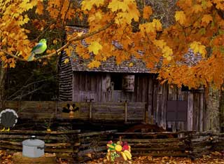 Mysterious Turkey Forest Escape Juegos de Escape - Mysterious Turkey Forest Escape