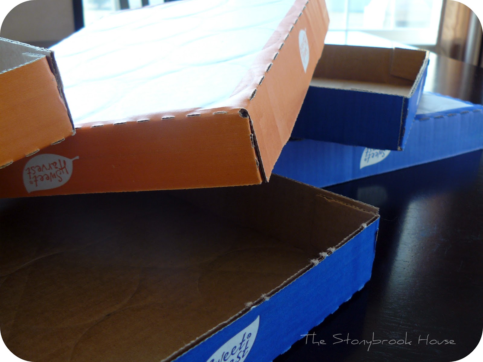 Where Do I Start? {Beginning Our Office Makeover} The Stonybrook House