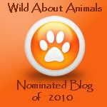 Nominated Blog 2010