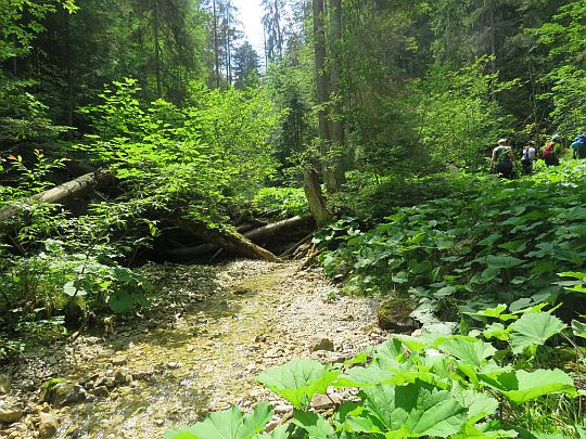 Kyseľ, rázc. (745 m n.p.m.). Kyseľ, rázc. (745 m n.p.m.).