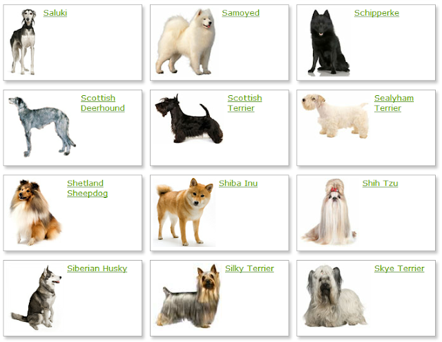 Dog Breeds A-Z