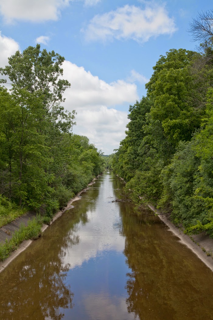 Urban Wilderness ATC begins tree cutting in Underwood Parkway