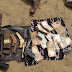 Kidnappers, Cultists, Arrested By Police... Weapons, Money Recovered