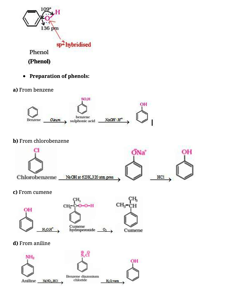 CBSE Class 12 Chemistry Notes Alcohols, Phenols and Ethers Experhap