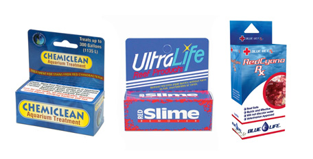 red slime algae remover