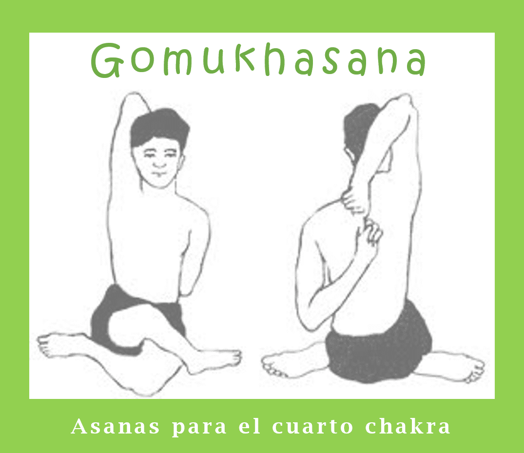 Gomukhasana Chakra Gomukhasana Chakra