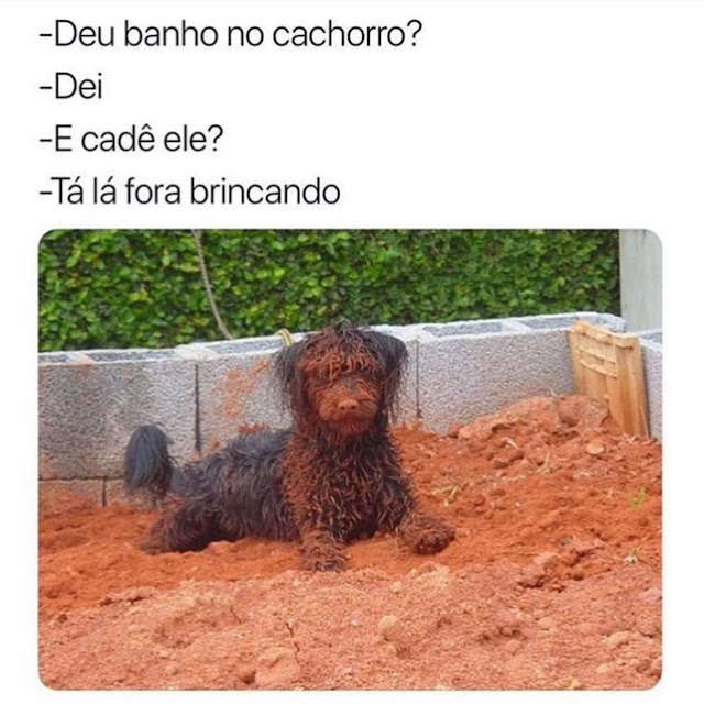 memes engraçados memes engraçados