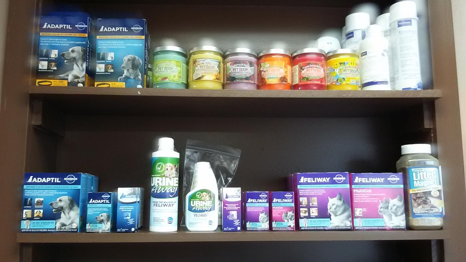 White House Animal Hospital Blog Low Stress Vet Visits with Pheromones