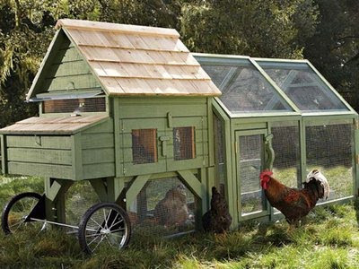 Rural Living Canada: The $1300 Chicken Coop: Williams Sonoma Goes ...