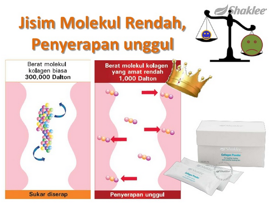 Penyerapan unggul kolagen Shaklee Penyerapan unggul kolagen Shaklee