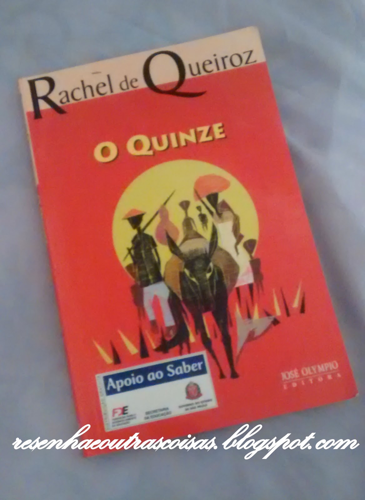 Resumo Do Livro O Quinze De