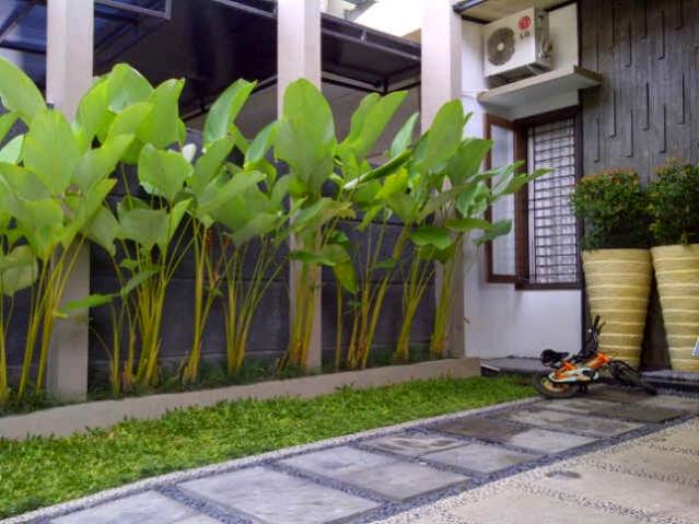 TAMAN MINIMALIS | TAMAN TROPIS | TAMAN ALAMI | TAMAN | GAMBAR TAMAN