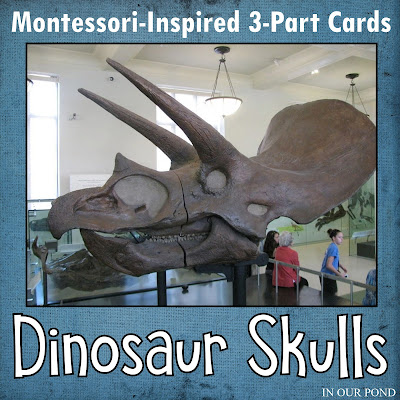 Learn about long gone dinosaurs as you explore and play with Safari Ltd Dinosaur Skulls toob.  Free printable matching cards for the toob.