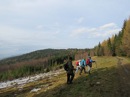 Polana Folwarczna. Polana Folwarczna.