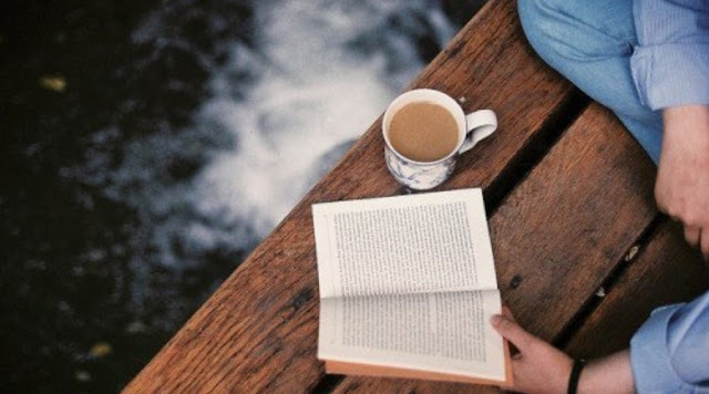 Mejores y peores lecturas del 2017