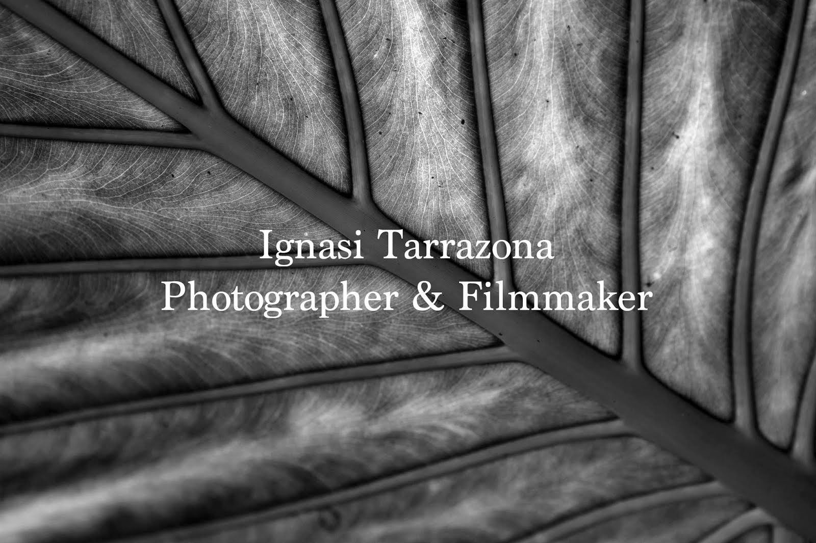 Ignasi Tarrazona Photographer & Filmmaker