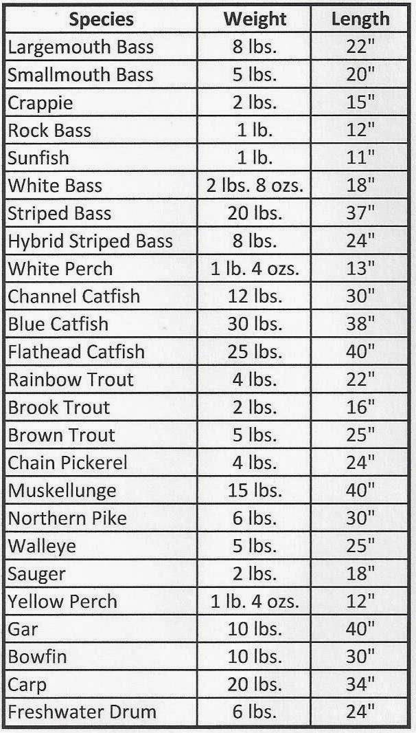 Virginia Trophy Fish Size Chart