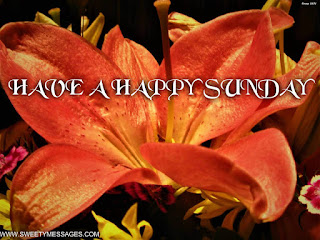 have a happy sunday happy sunday images
