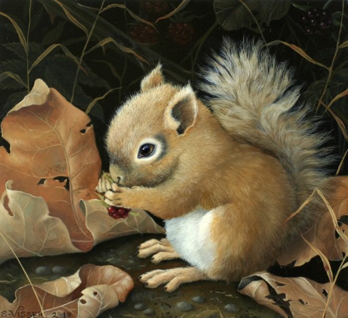 Животные и люди. Suzan Visser Животные и люди. Suzan Visser