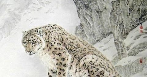 مدونة صور النمر الثلجي أو الفهد الثلجي
