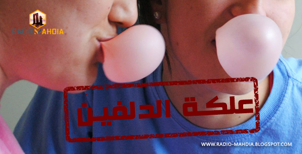 علكة الدلفين علكة الدلفين